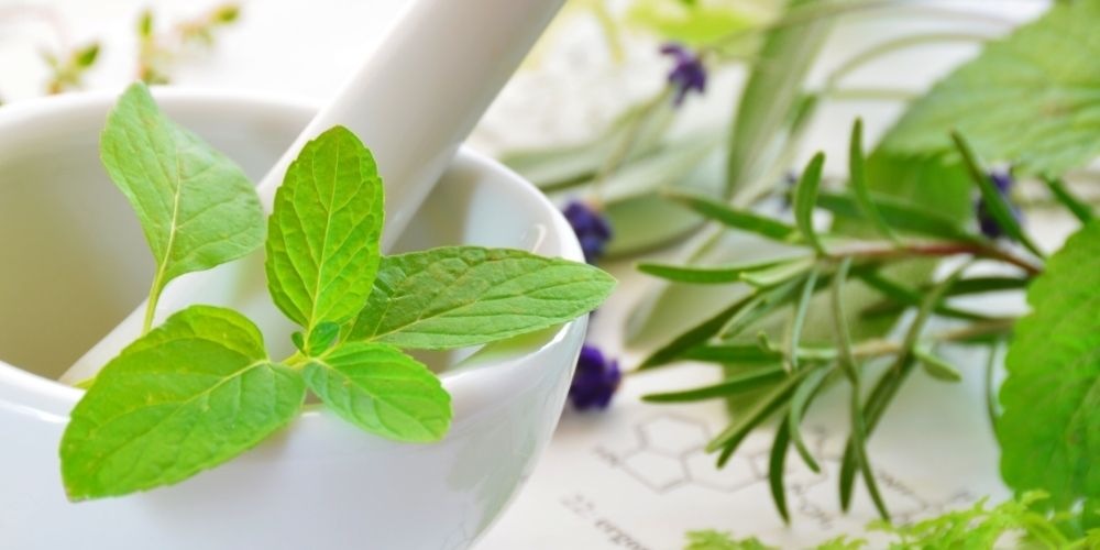 menthe dans un mortier