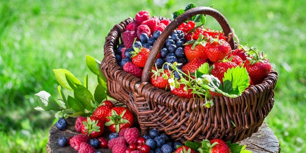 panier de fruits rouges