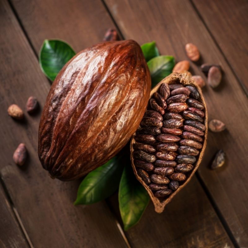 cocoa pod and beans