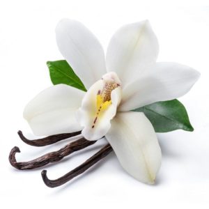 Gliss Huile de Massage