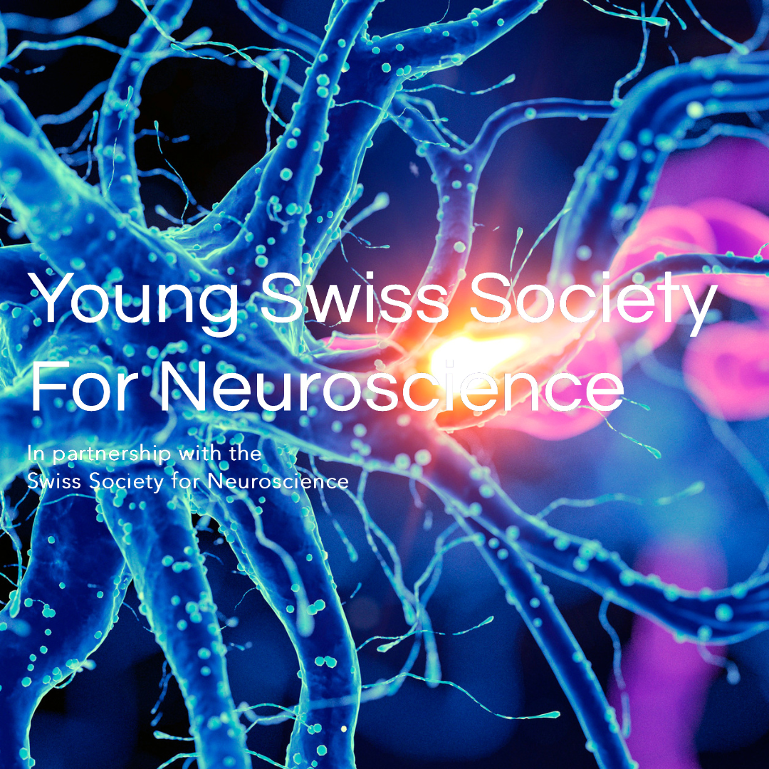 Liens et Partenaires : Young Swiss Society of Neuroscientists